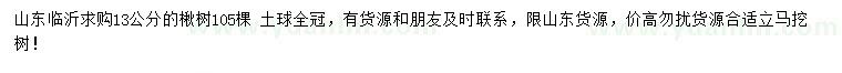 求購13公分楸樹