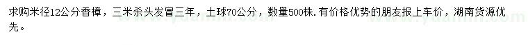 求購米徑12公分香樟