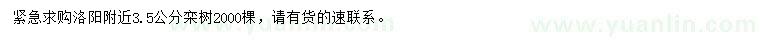求購(gòu)3.5公分欒樹