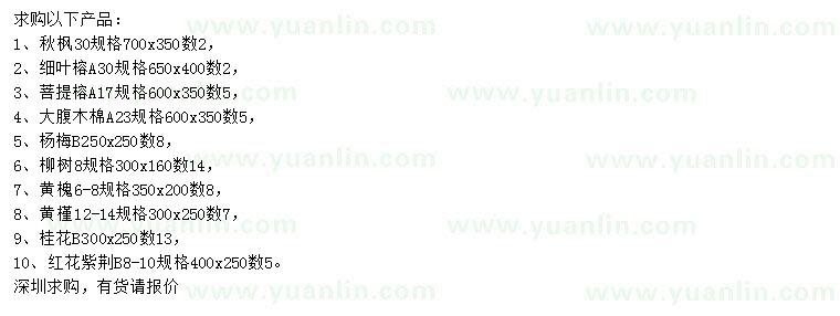求購秋楓、細(xì)葉榕、菩提榕等
