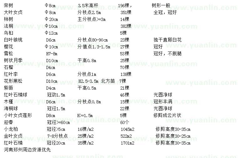 求購欒樹、大葉女貞、柿子樹等