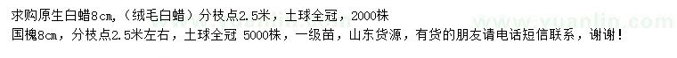 求購8公分白蠟、國槐