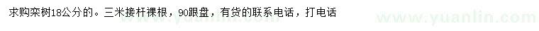 求購18公分欒樹