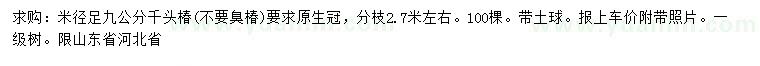求購米徑9公分千頭椿