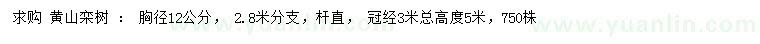 求購胸徑12公分黃山欒樹