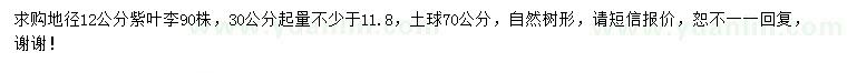 求購地徑12公分紫葉李