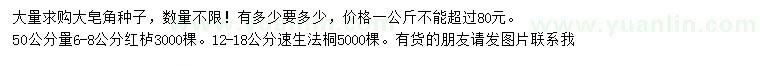 求購大皂角種子、紅櫨、速生法桐