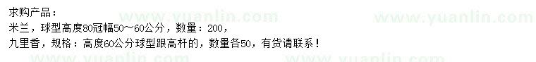 求購(gòu)高80公分米蘭、60公分九里香