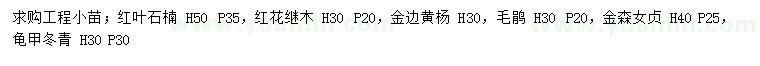 求購紅葉石楠、紅花繼木、金邊黃楊等