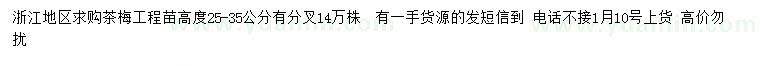 求購高25-35公分茶梅