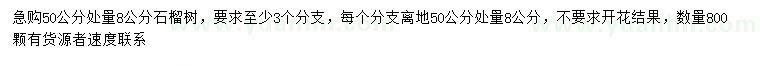 求購50公分處量8公分石榴樹