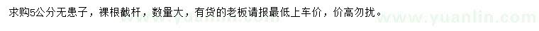 求購5公分無患子