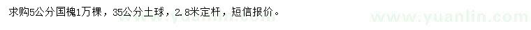 求購5公分國槐