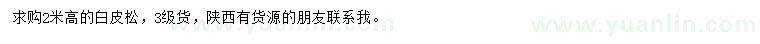 求購高2米白皮松