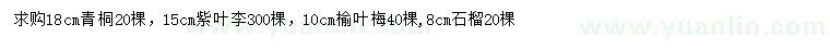 求購青桐、紫葉李、榆葉梅等
