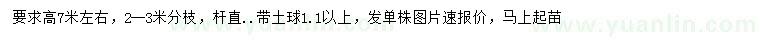 求購米徑20公分銀杏