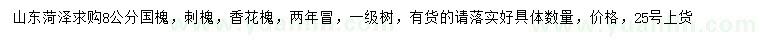 求購國槐、刺槐、香花槐