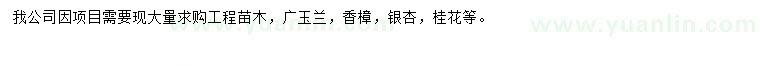 求購廣玉蘭、香樟、桂花等