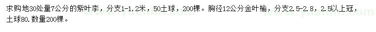 求購(gòu)地30處量7公分紫葉李、胸徑12公分金葉榆