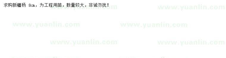 求購(gòu)8公分新疆楊
