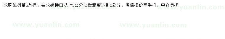 求購梨樹苗