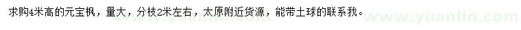求購高4米元寶楓