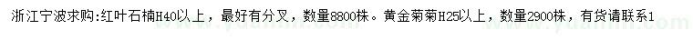 求購高40公分以上紅葉石楠、25公分以上黃金菊