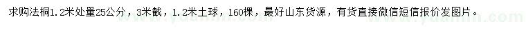 求購1.2米處量25公分法桐