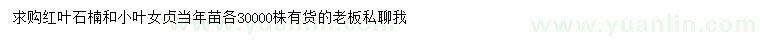 求購紅葉石楠、小葉女貞