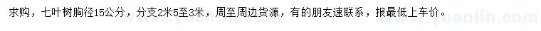 求購胸徑15公分七葉樹