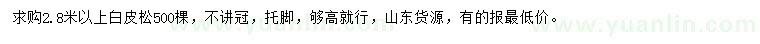 求購(gòu)2.8米以上白皮松