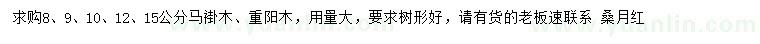 求購8、9、10、12、15公分馬褂木、重陽木