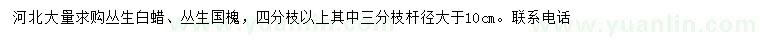 求購叢生白蠟、叢生國槐