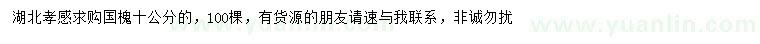 求購10公分國槐