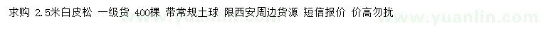 求購 2.5米白皮松