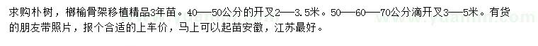 求購(gòu)40-50公分樸樹(shù)、榔榆骨架