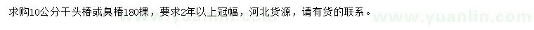 求購10公分千頭椿、臭椿