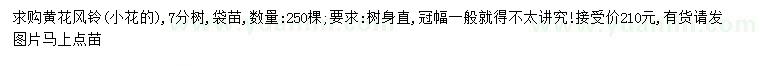 求購小花黃花風鈴