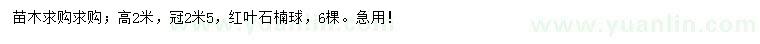 求購(gòu)高2米紅葉石楠球