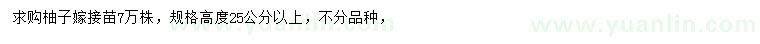 求購(gòu)高25公分以上柚子嫁接苗