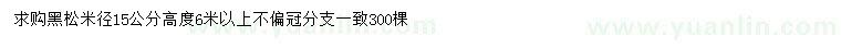 求購米徑15公分黑松