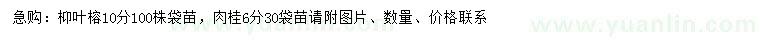求購10公分枊葉榕、6公分肉桂