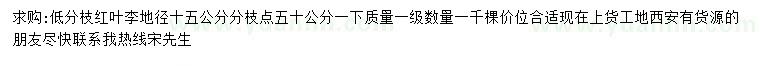 求購地徑15公分紅葉李
