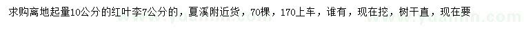 求購離地起量7、10公分紅葉李