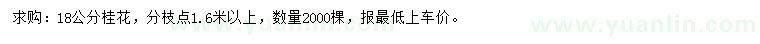 求購18公分桂花