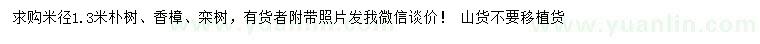 求購樸樹、香樟、欒樹