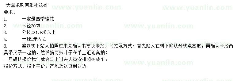 求購米徑20公分四季桂