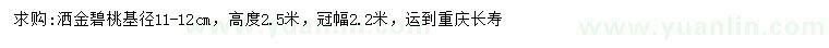 求購基徑11-12公分灑金碧桃