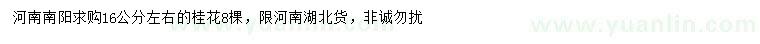 求購16公分左右桂花