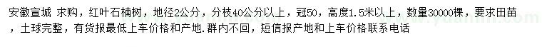 求購地徑2公分紅葉石楠樹